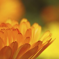 Anniversary October 1st