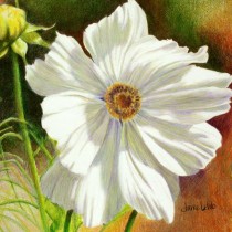 Anniversaries October 4th